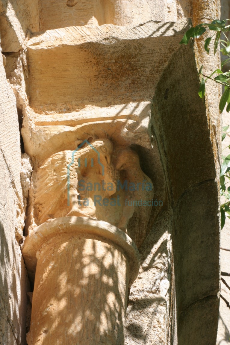 Capitel de la columna de la ventana absidal, representan a una pareja de rudas aves afrontadas picoteando una baya