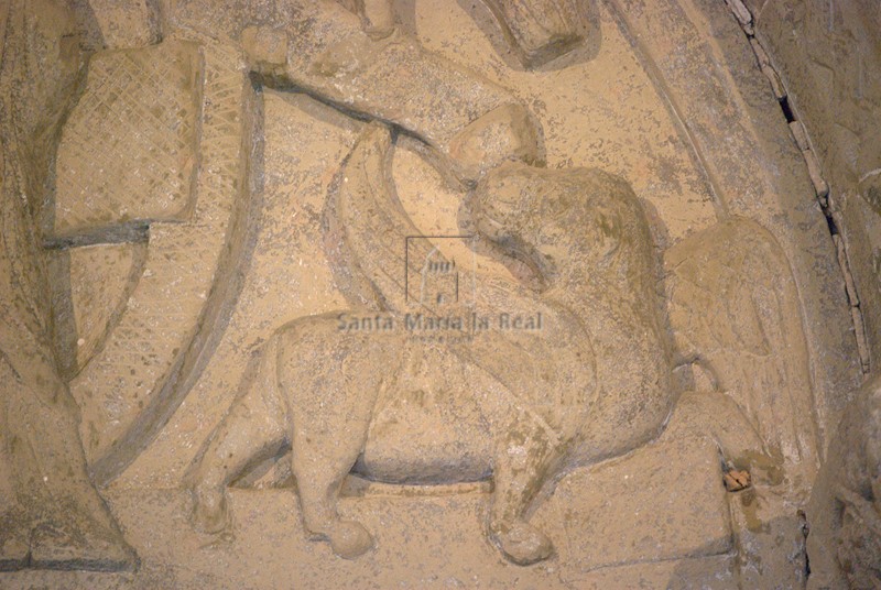 Toro, símbolo de San Lucas