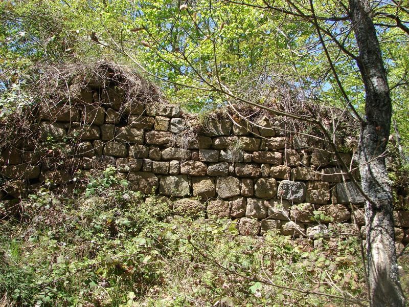 Vista de los restos de los muros del castillo