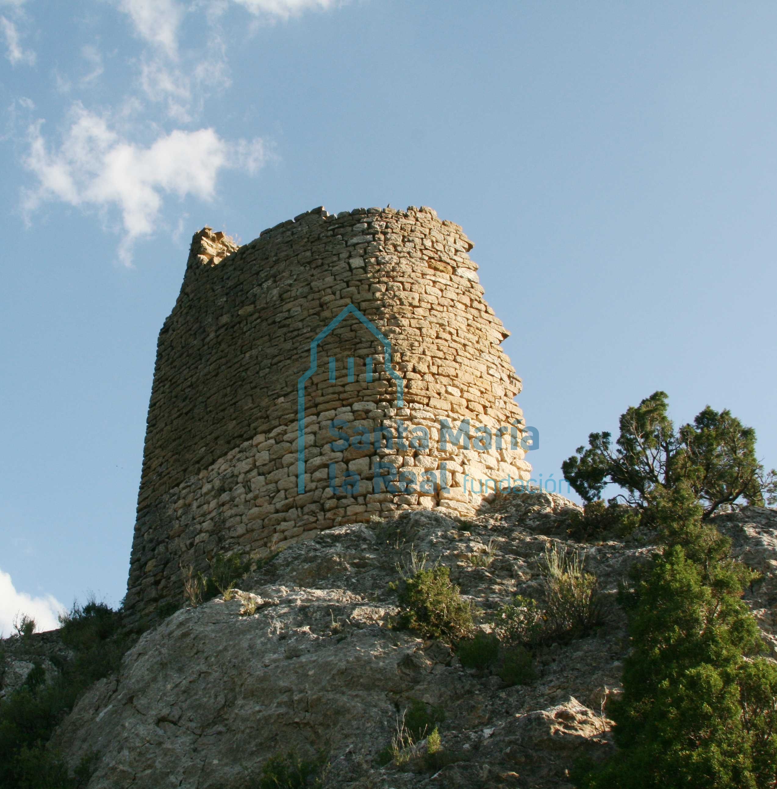 Vista general de la torre