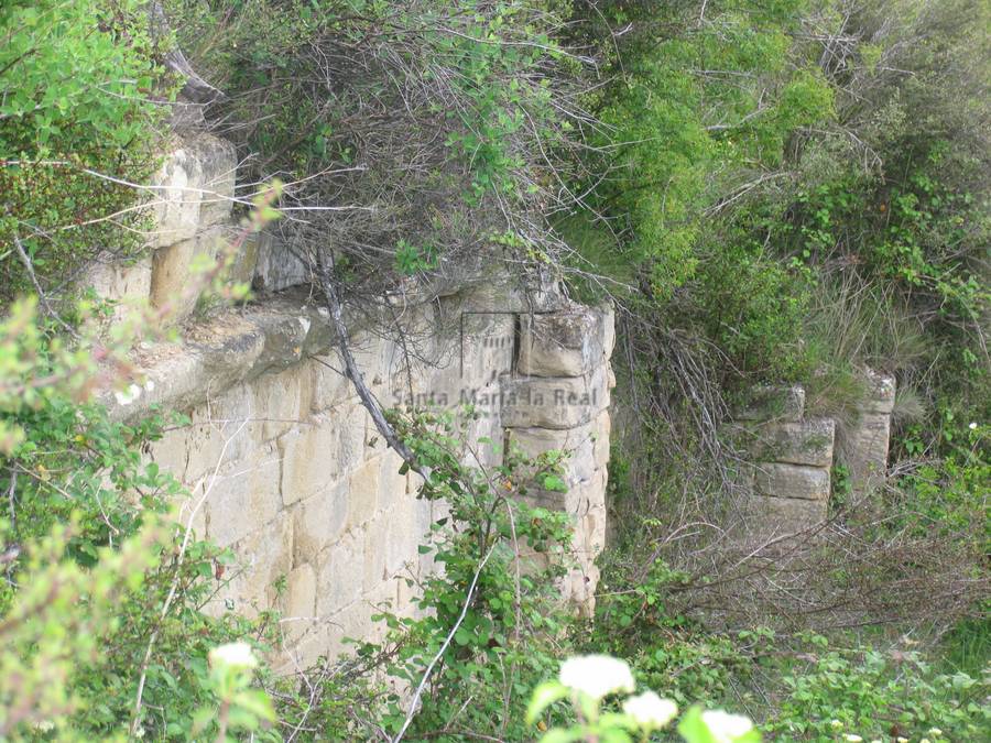 Restos del muro norte de la nave y contrafuertes