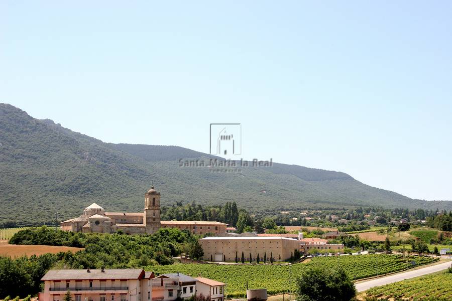 Panorámica del monasterio