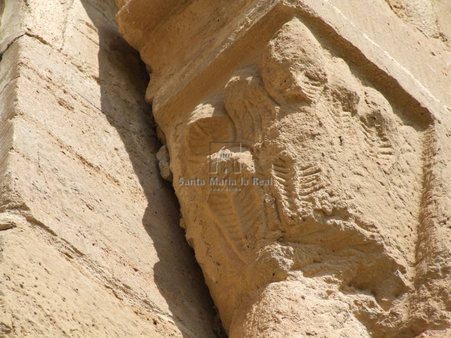 Capitel vegetal derecho de una ventana del ábside