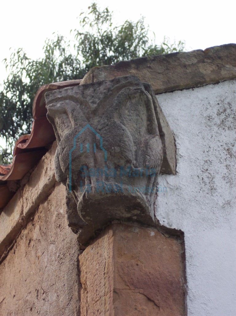 Capitel en la esquina superior izquierda de la fachada. Pareja de aves