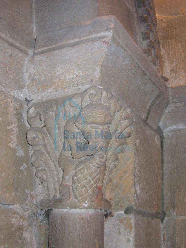 Capitel del arco de comunicación entre la capilla mayor y la capilla de la Epístola. Mono en cuclillas que come uvas de un racimo