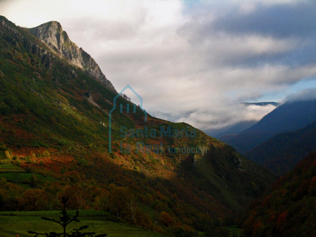 Panorámica