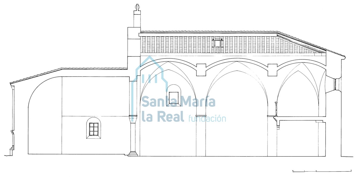 Sección longitudinal