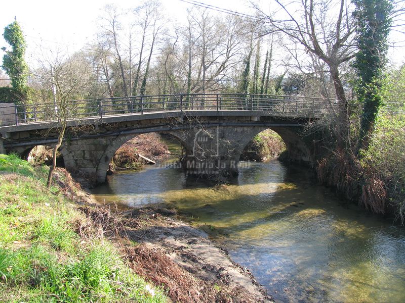 Vista del puente