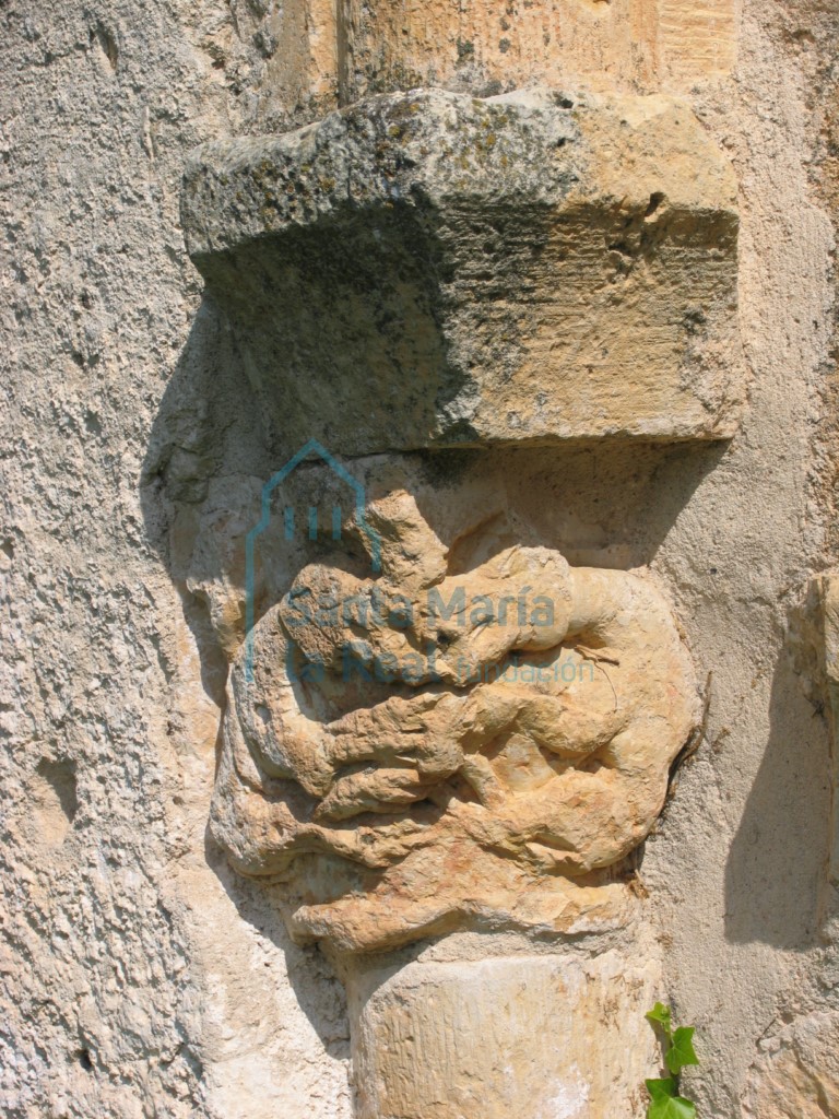 Capitel que representa una pareja de cuadrúpedos enfrentados, en la portada