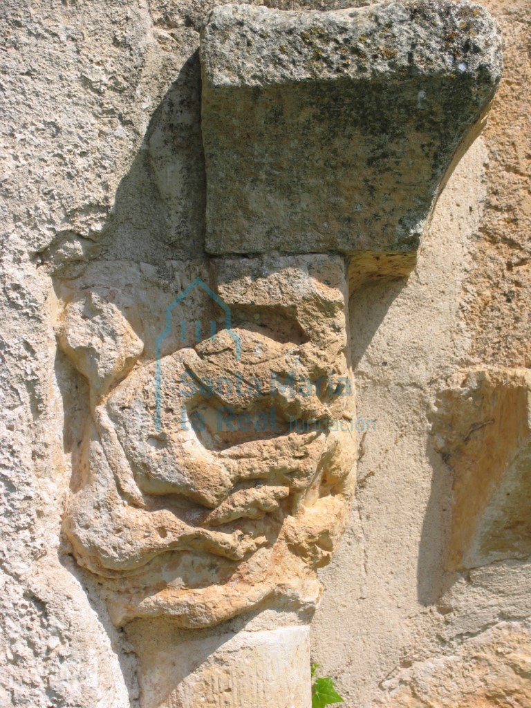 Capitel que representa una pareja de cuadrúpedos enfrentados, en la portada