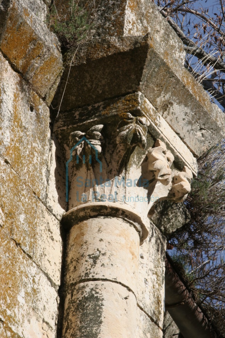 Capitel vegetal del interior de la nave