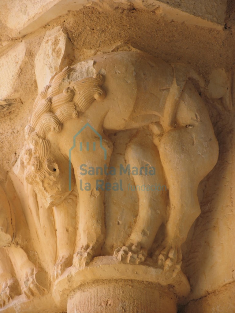 Detalle de uno de los leones de un capitel del pórtico