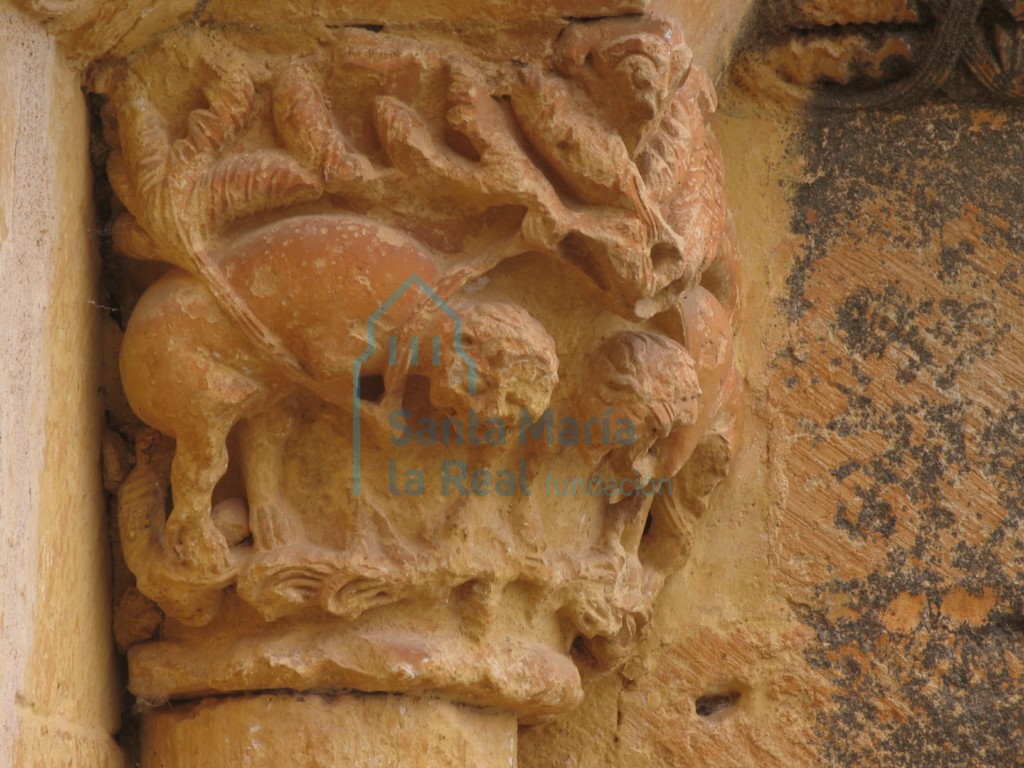 Detalle del capitel derecho de la portada norte ornado con una pareja de leones entre una marala de tallos y carnosas hojas acogolladas