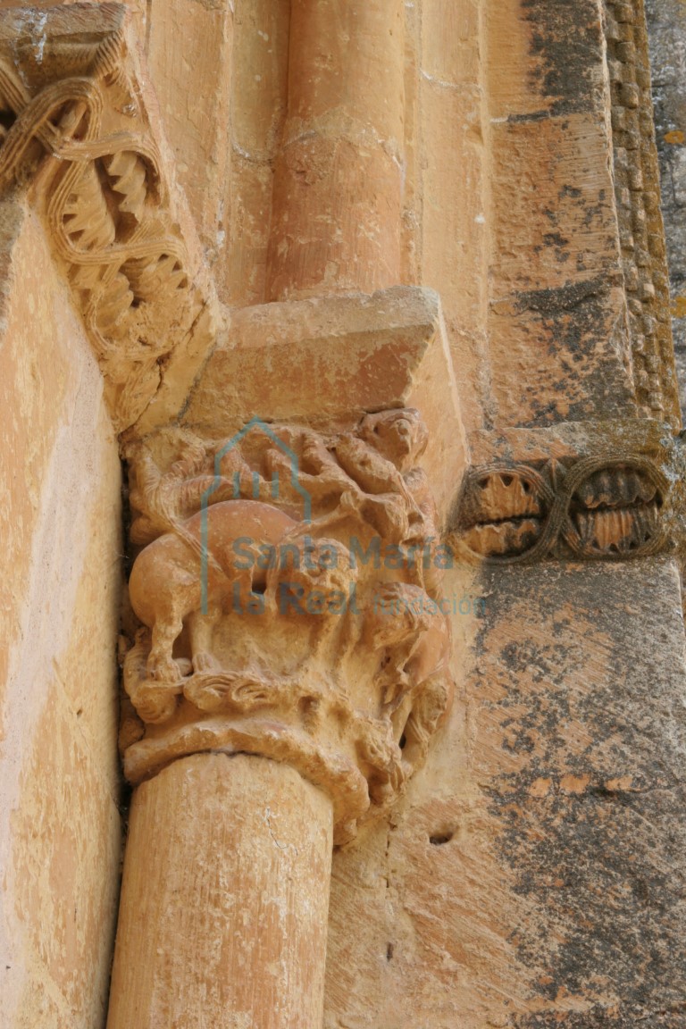 Capitel derecho de la portada norte, decorado con leones entre maraña de tallos