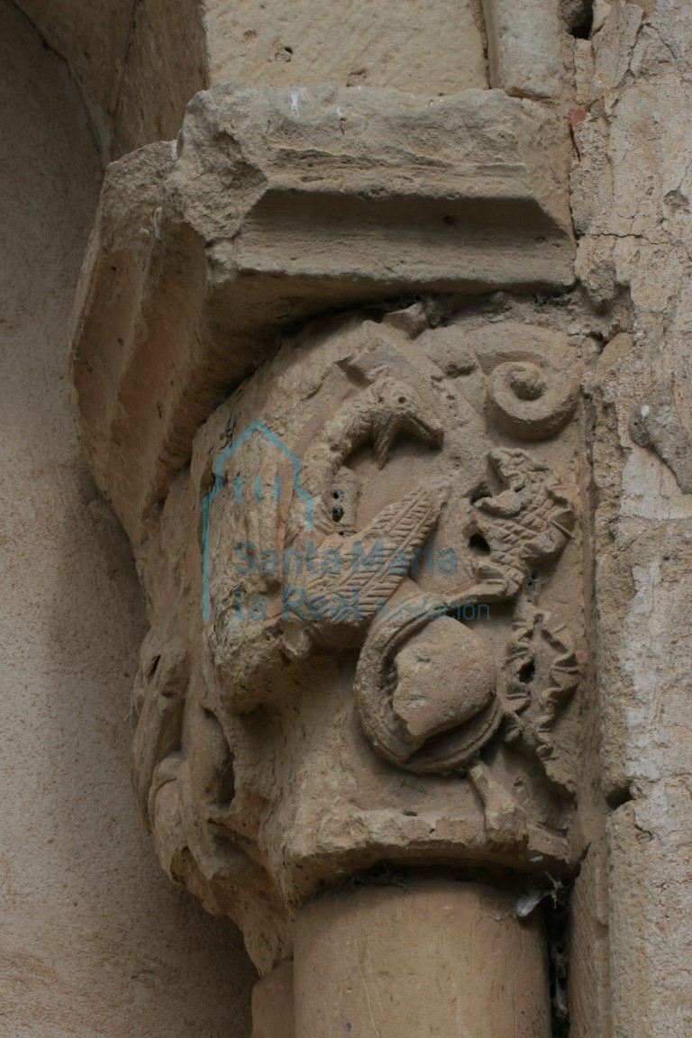 Detalle de híbrido mordiendose la cola en un capitel de la galería porticada