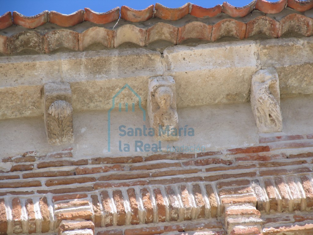 Canecillos en la cornisa de la fachada sur. vegetal, figura femenina y ave