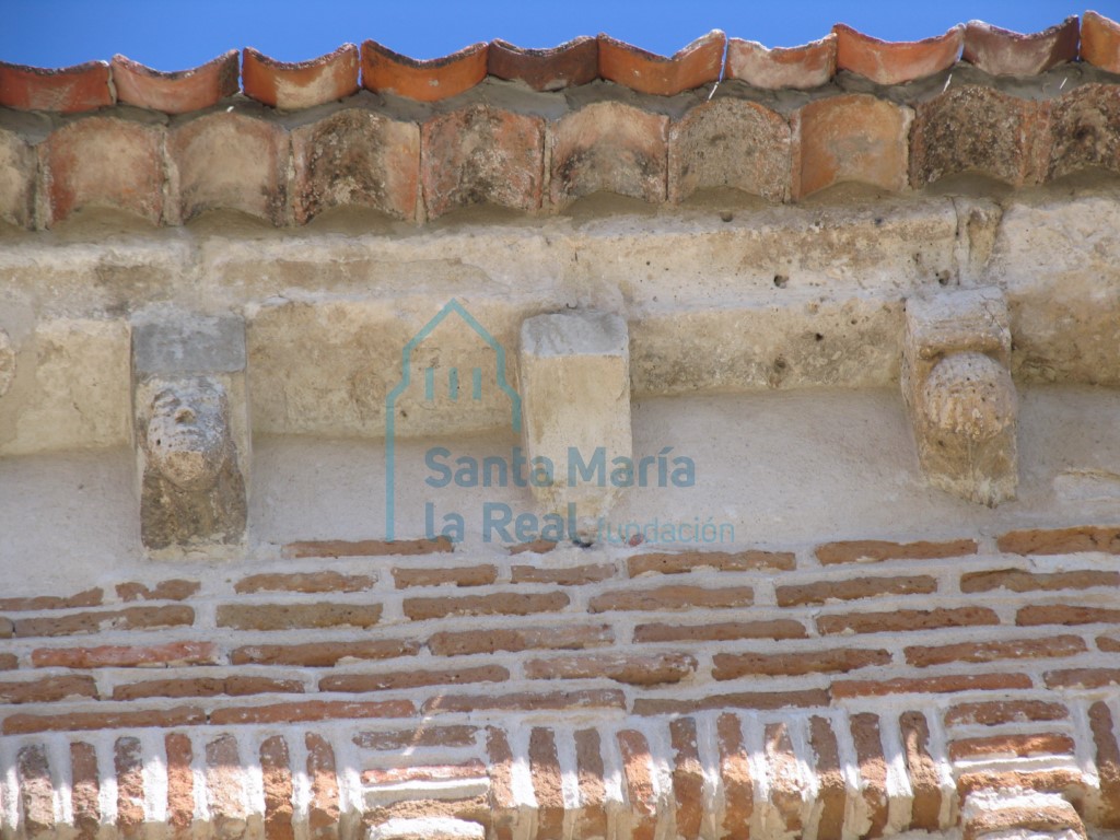 Canecillos en la cornisa de la fachada sur. Rostro de varón, caveto y motivo vegetal