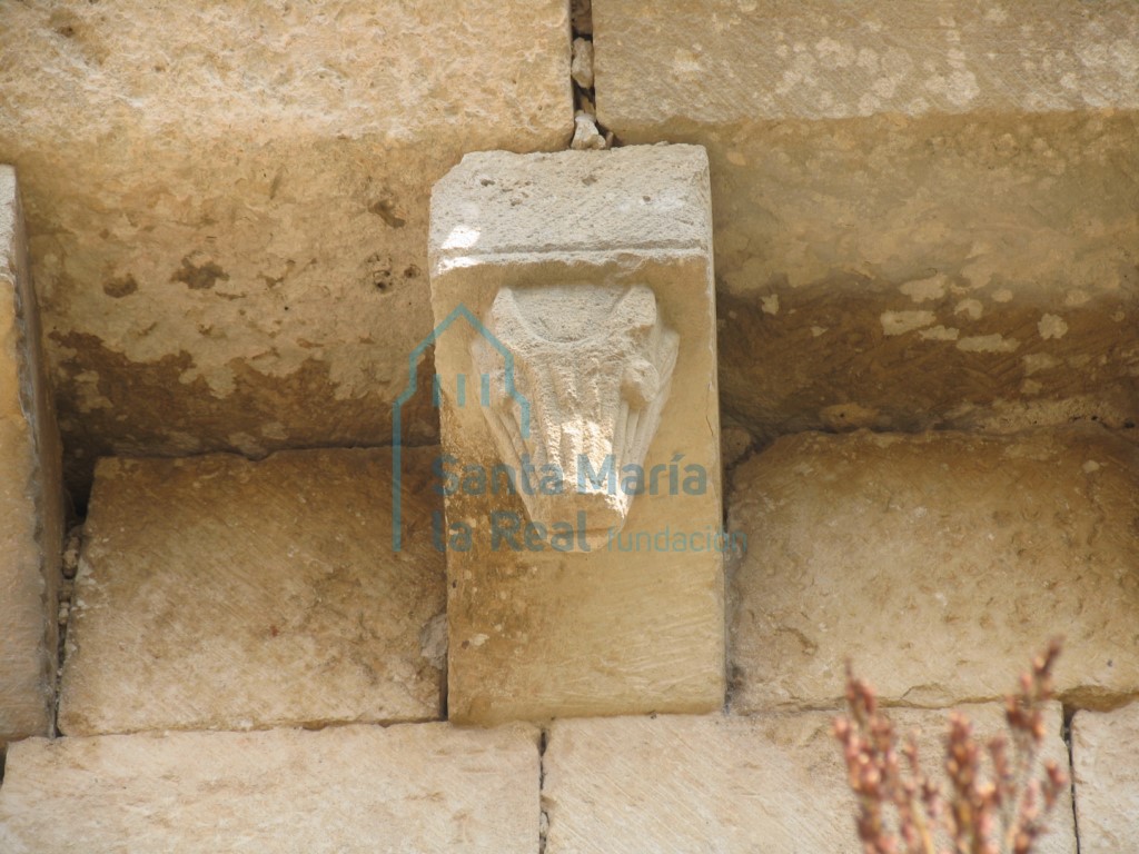 Canecillo con cabeza de animal en el muro meridional del presbiterio