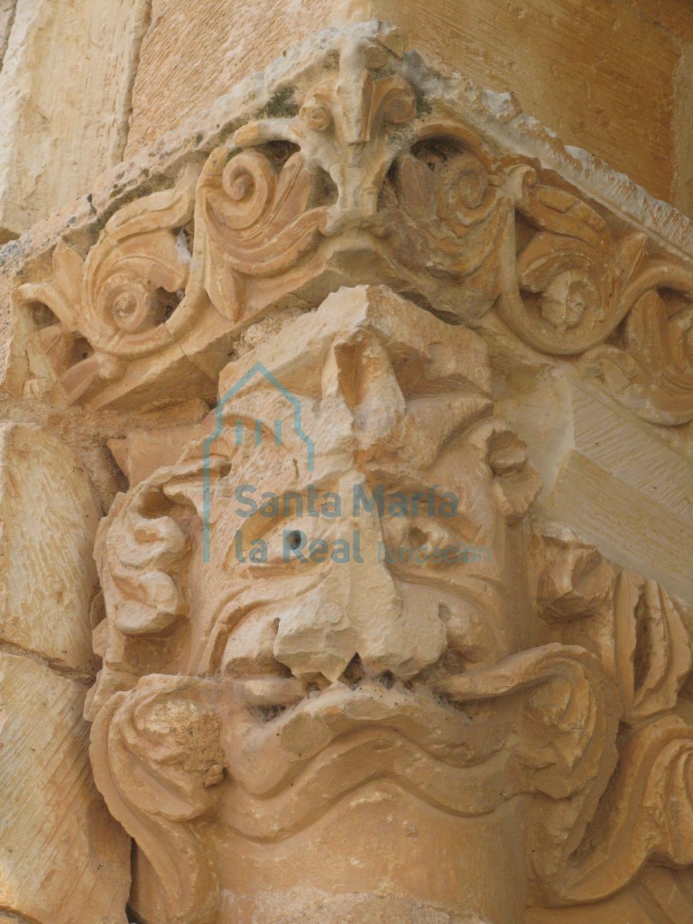 Detalle de un  mascarón que asemejan un felino mostrando las fauces, de un capitel del lado meridional del  pórtico