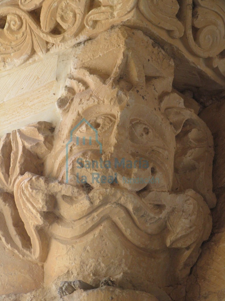 Detalle de un  mascarón que asemejan un felino mostrando las fauces, de un capitel del lado meridional del pórtico