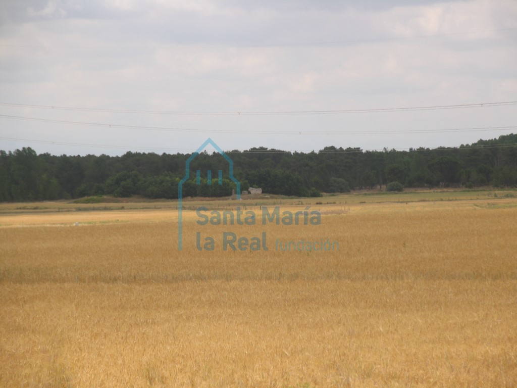 Panorámica
