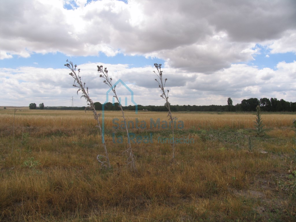 Panorámica
