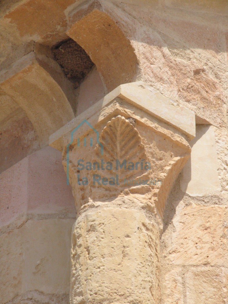 Capitel vegetal, situado en la esquina sureste del pórtico