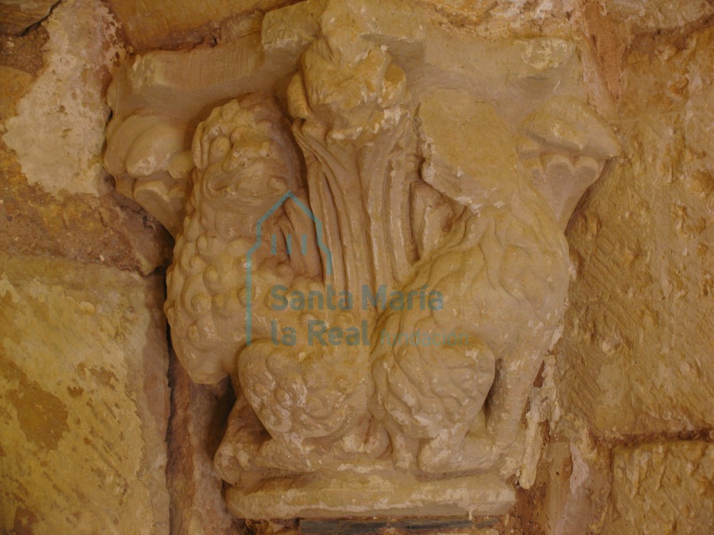 Capitel izquierdo de la portada meridional, tiene fondo vegetal de hojas picudas rematadas en cogollos angulares, donde una pareja de de leones confrontados vuelve la cabeza.