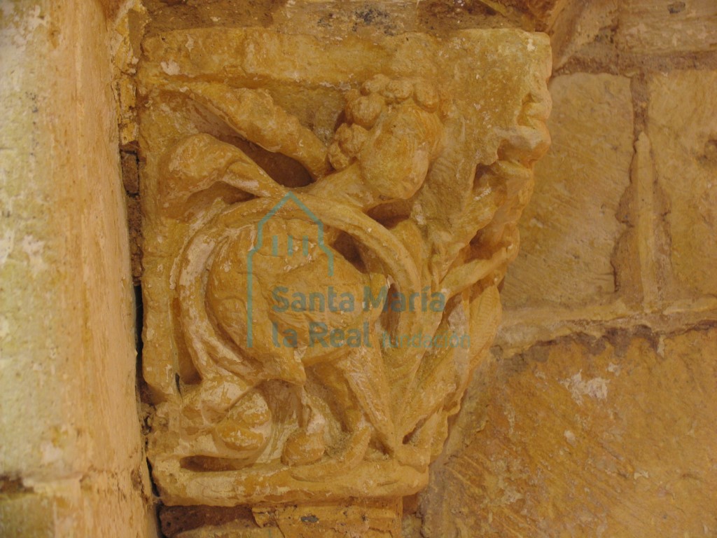 Capitel de la derecha de la portada, con una pareja de sirenas-pájaro sobre un fondo de tallos enmarañados