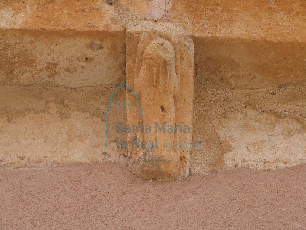 Canecillo con representación animal en la cornisa del muro septentrional