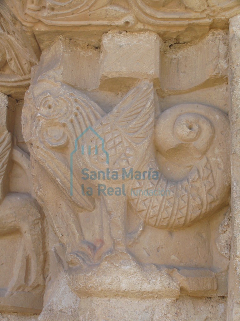 Detalle del capitel exterior oeste de la portada septentrional. Cuadrúpedo con cabeza de ave y cola de serpiente