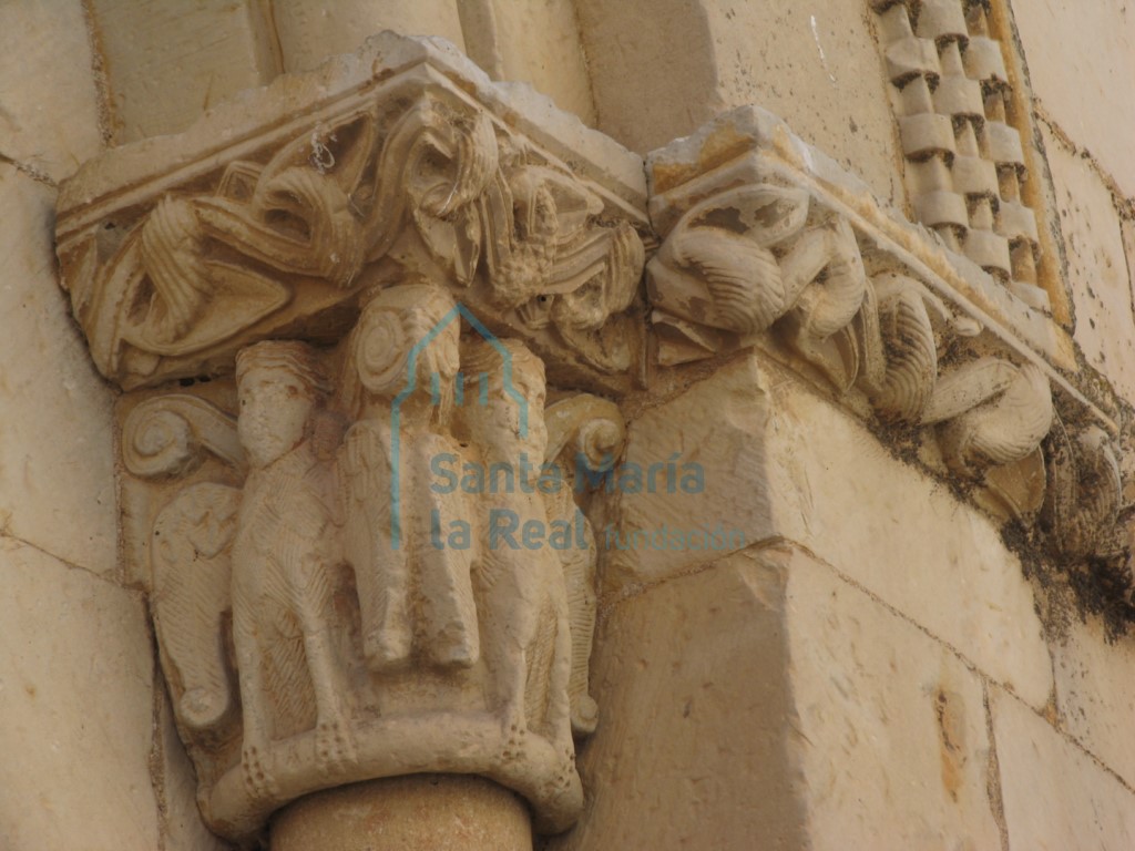 Capitel derecho de la ventana septentrional del abside. Sirenas