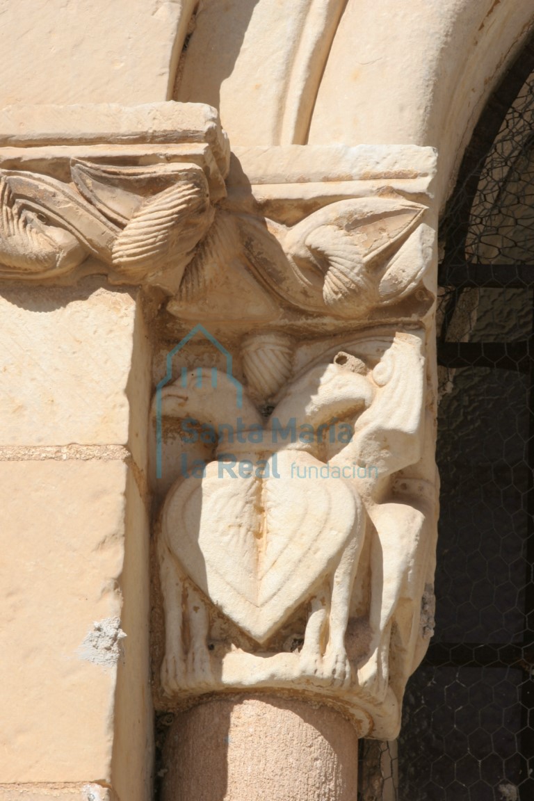 Capitel del vano central del ábside. Pareja de aves contrapuestas unidas por el cuello