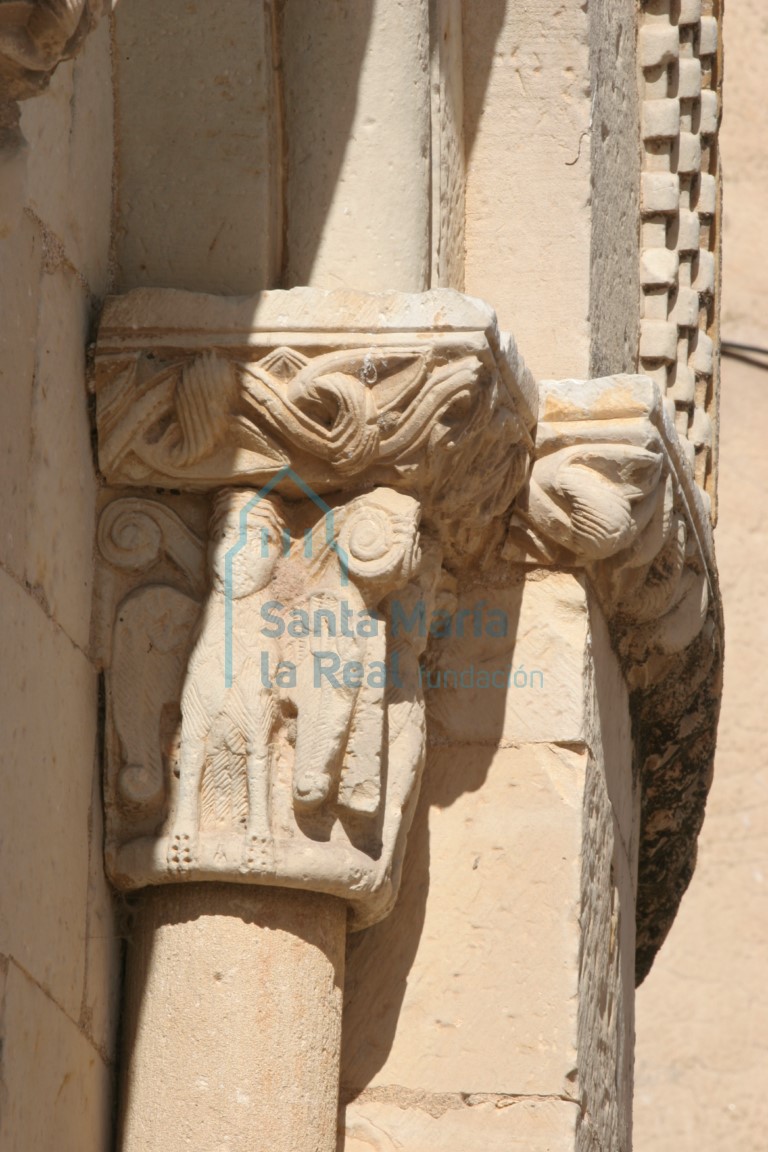Capitel del vano sptentrional del ábside. Sirena-pájaro