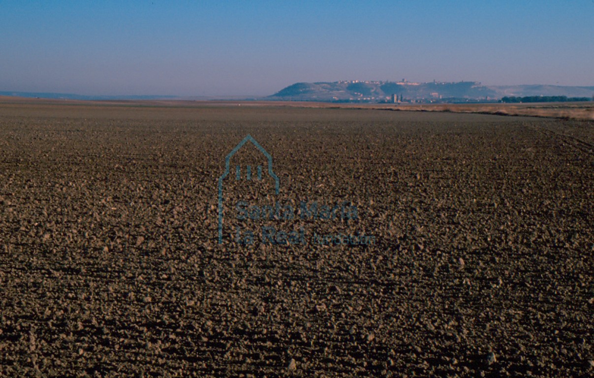 Panorámica de Portillo y Aldea de San Miguel