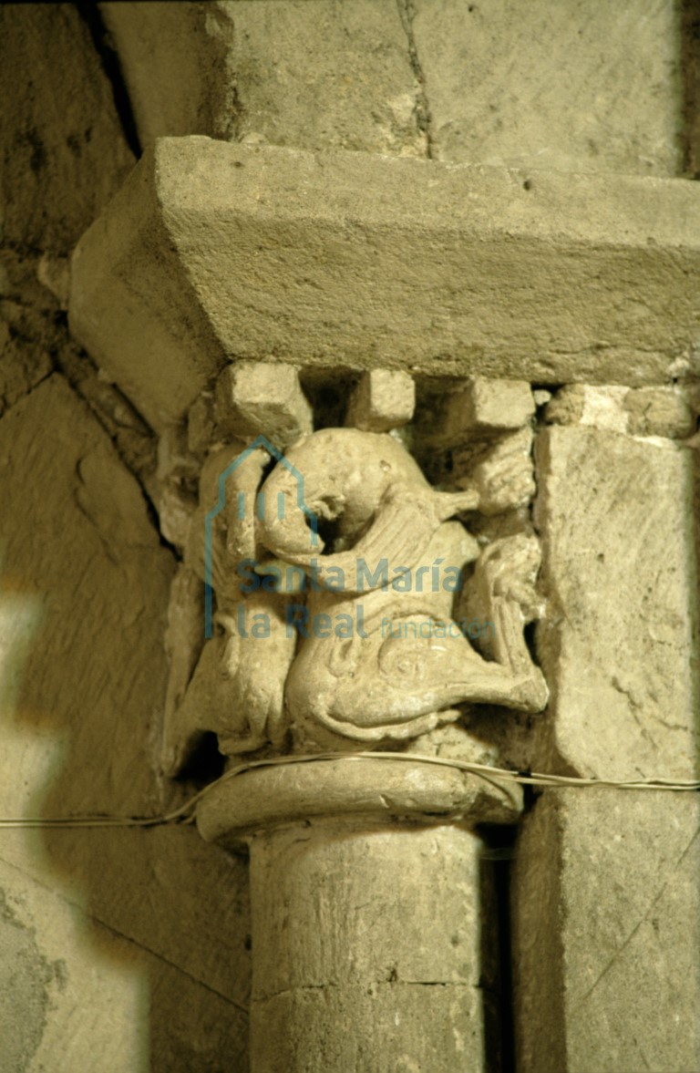 Capitel del lado derecho de uno de los arcos del muro norte del interior del ábside central. Grifos afrontados