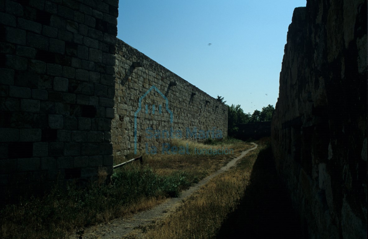Murallas del castillo
