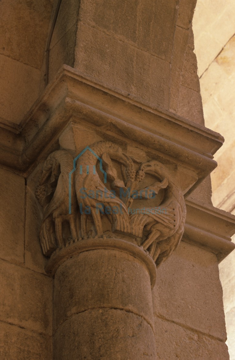 Capitel del arco formero inmediato a la portada meridional. Aves con cuello vuelto picoteando granas