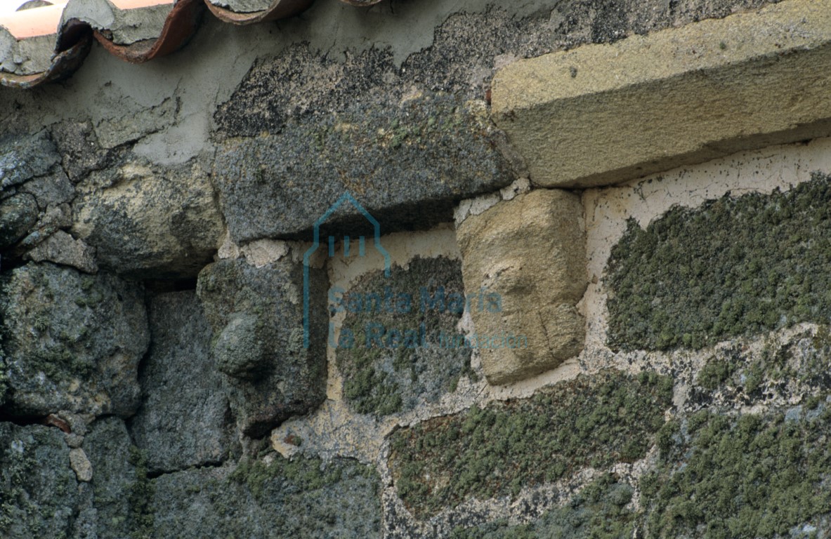 Detalle de dos canes en el muro septentrional del templo