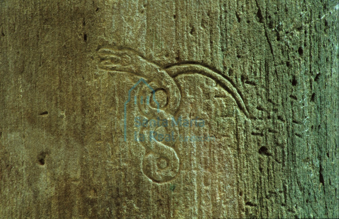 Serpiente grabada en las columnas de la nave de la iglesia