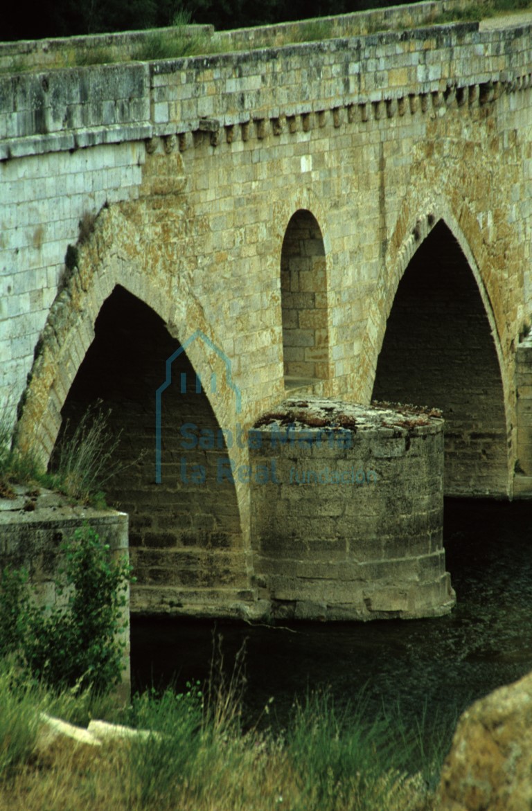 Detalle del Puente