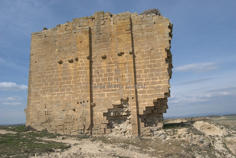 Muro meridional