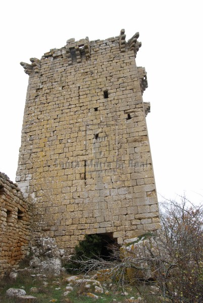 Torre nordeste