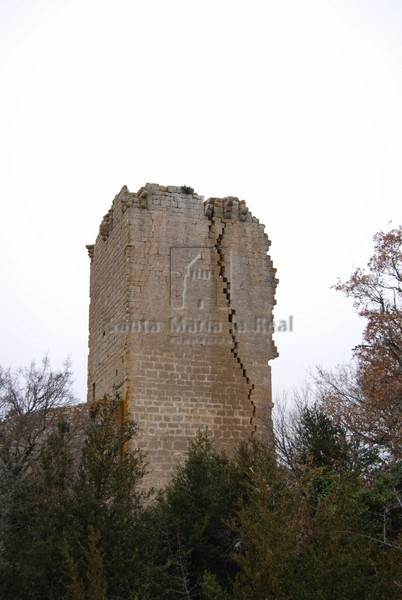 Torre occidental
